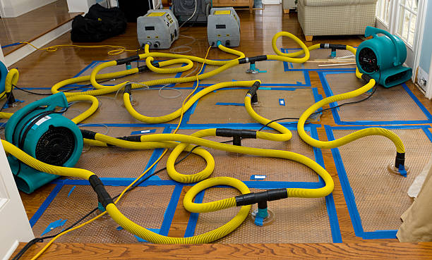 Professional Crawl Space Water Removal technician working in Harrison, ME